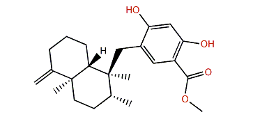 Dictyoceratin B